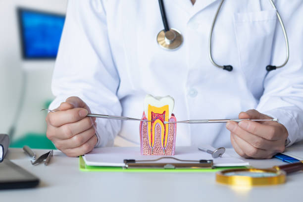 Best Emergency Treatment for Toothache in Crow Agency, MT